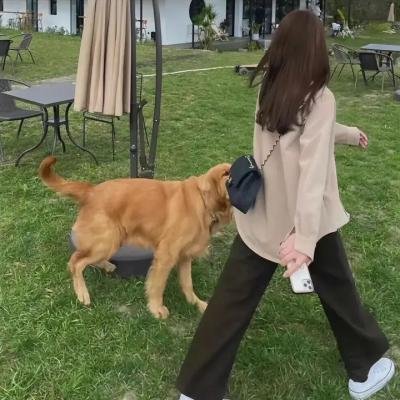 希望丘夫妻战争