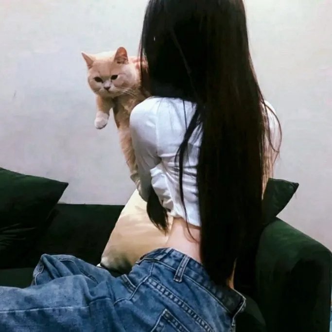 乱世书香